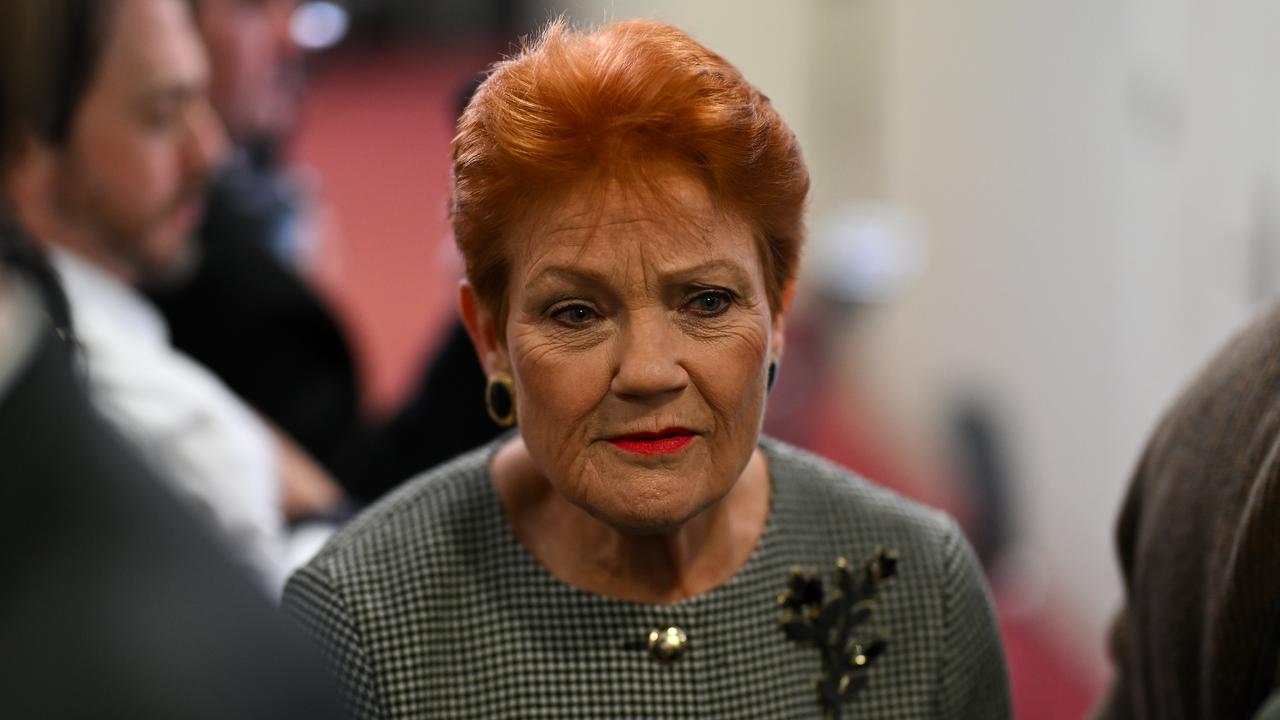 One Nation leader Pauline Hanson (file image)
