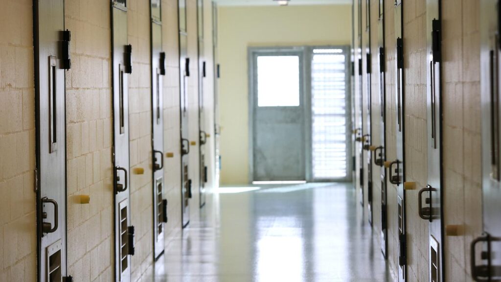 The Queensland government has proposed tough new breach of bail laws, mandating jail.
