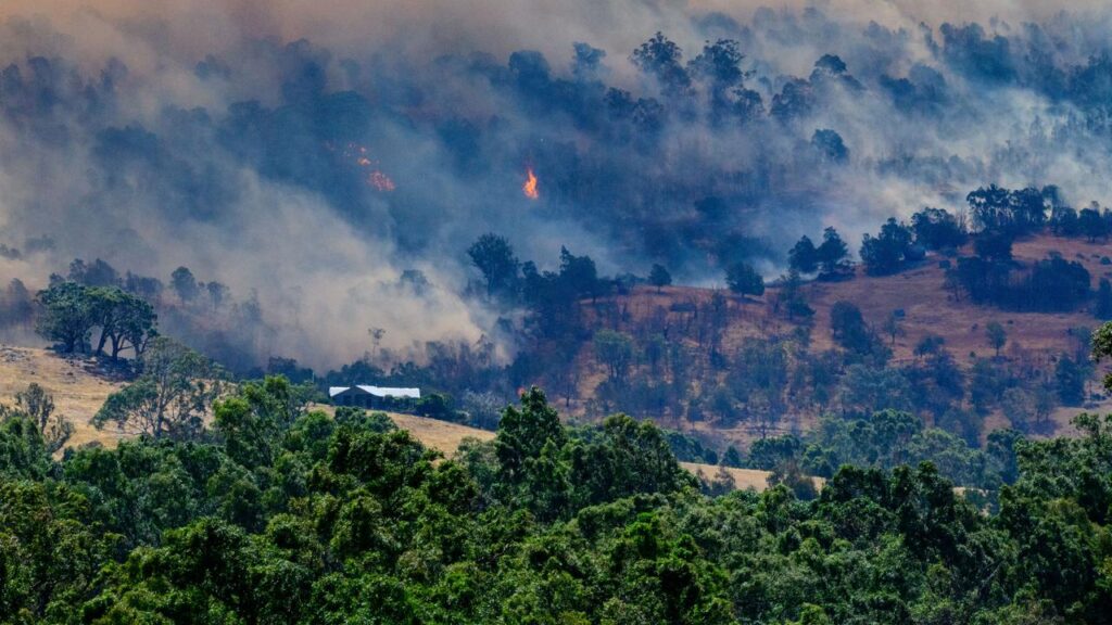 Parts of Victoria are considered most at risk of severe bushfires this summer.

