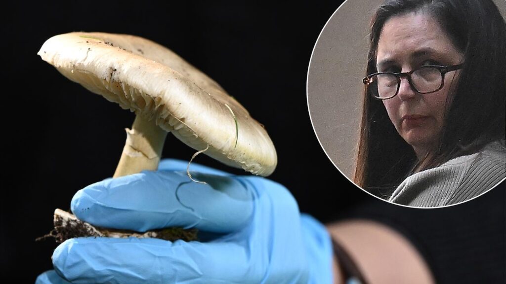 Erin Patterson was convicted of serving a meal laced with death cap mushrooms to four guests.
