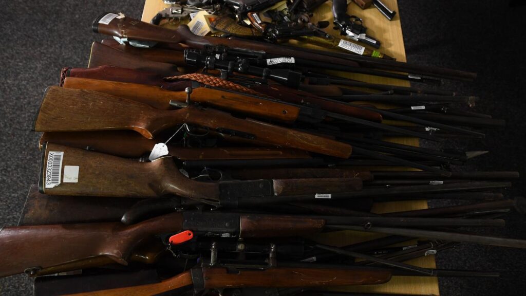 A national cabinet meeting has seen agreement on only allowing citizens to get a firearms license. 
