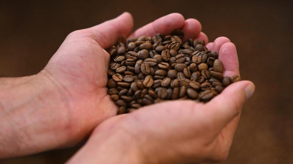 Coffee drinkers may be getting more than they expected from single-use paper cups.
