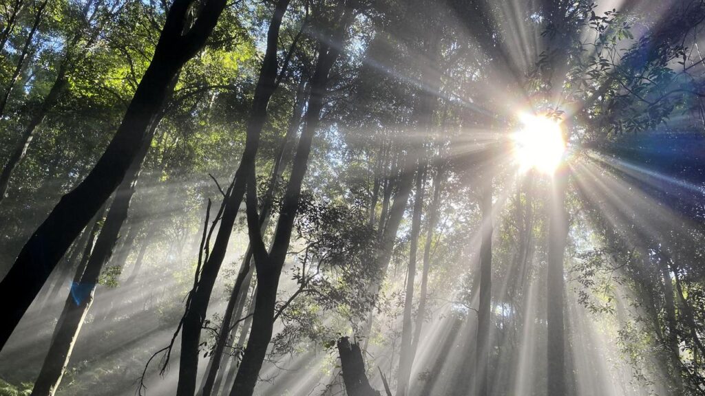 New standards set national rules for development decisions involving major environmental issues.
