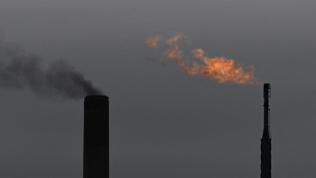 The government is being urged to strengthen laws designed to curb emissions from big polluters.

