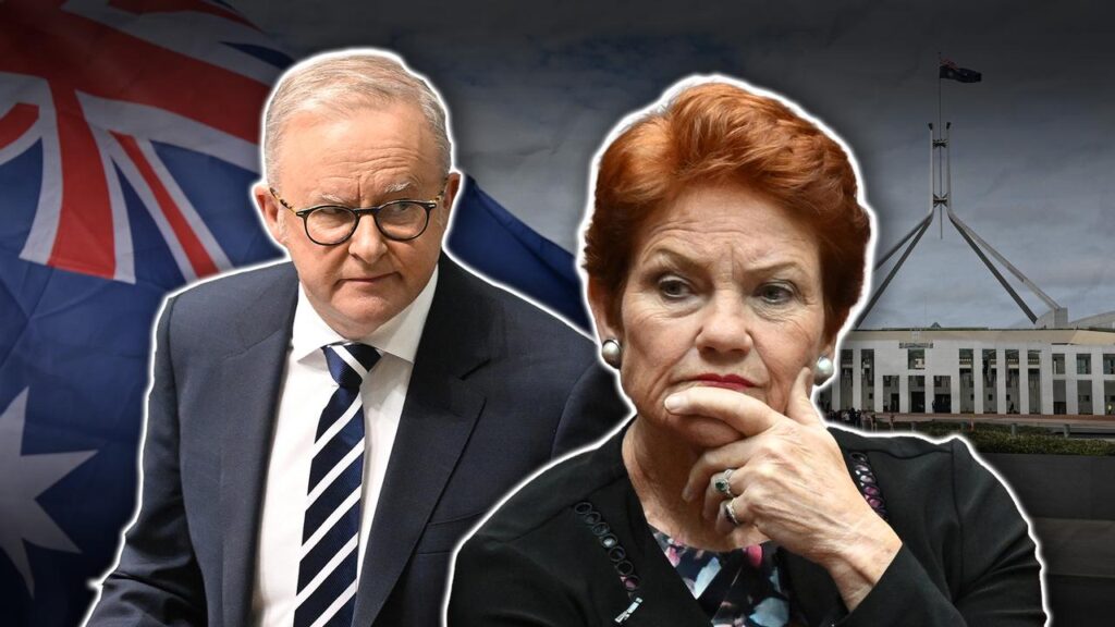 Anthony Albanese has capitalised on Pauline Hanson’s claim the superannuation system is broken.
