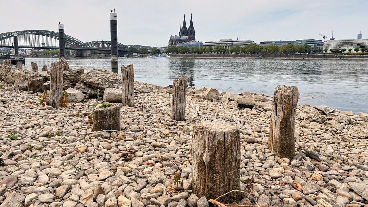 The Rhine river at Cologne