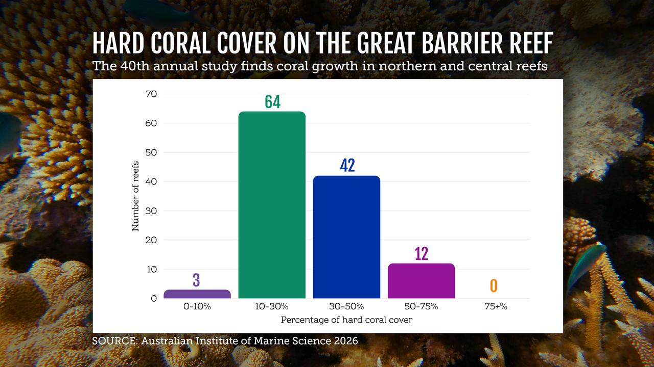 Great Barrier Reef graphic