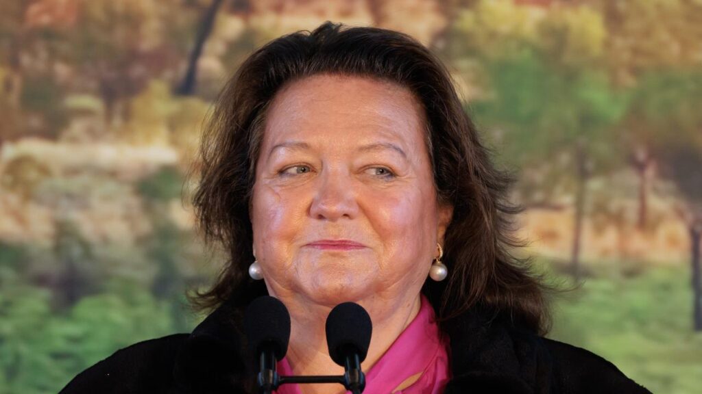 The ABC aired a show that made a joke about mixing Gina Rinehart’s guts into a sausage roll.

