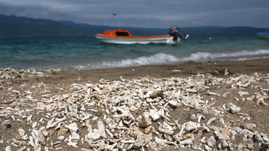 A study has analysed fuel imports for power plants, generators, boats and cars in Pacific countries.
