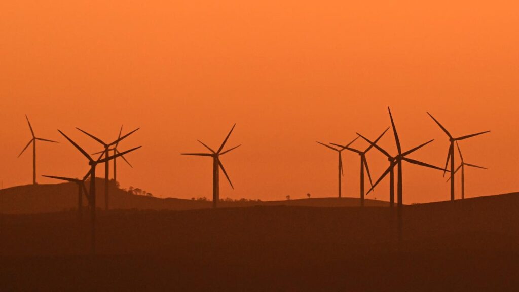 Wind generation in Australia has recorded the largest increase the past year, up by 20.3 per cent. 
