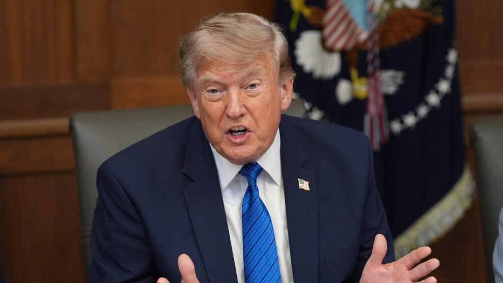 President Donald Trump raised the prospect of granting Ukraine a Patriot licence earlier this month.
