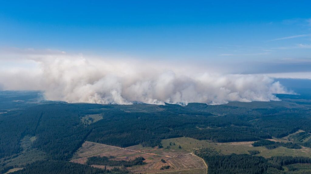 Belgium is receiving assistance from other countries to battle widespread fires.
