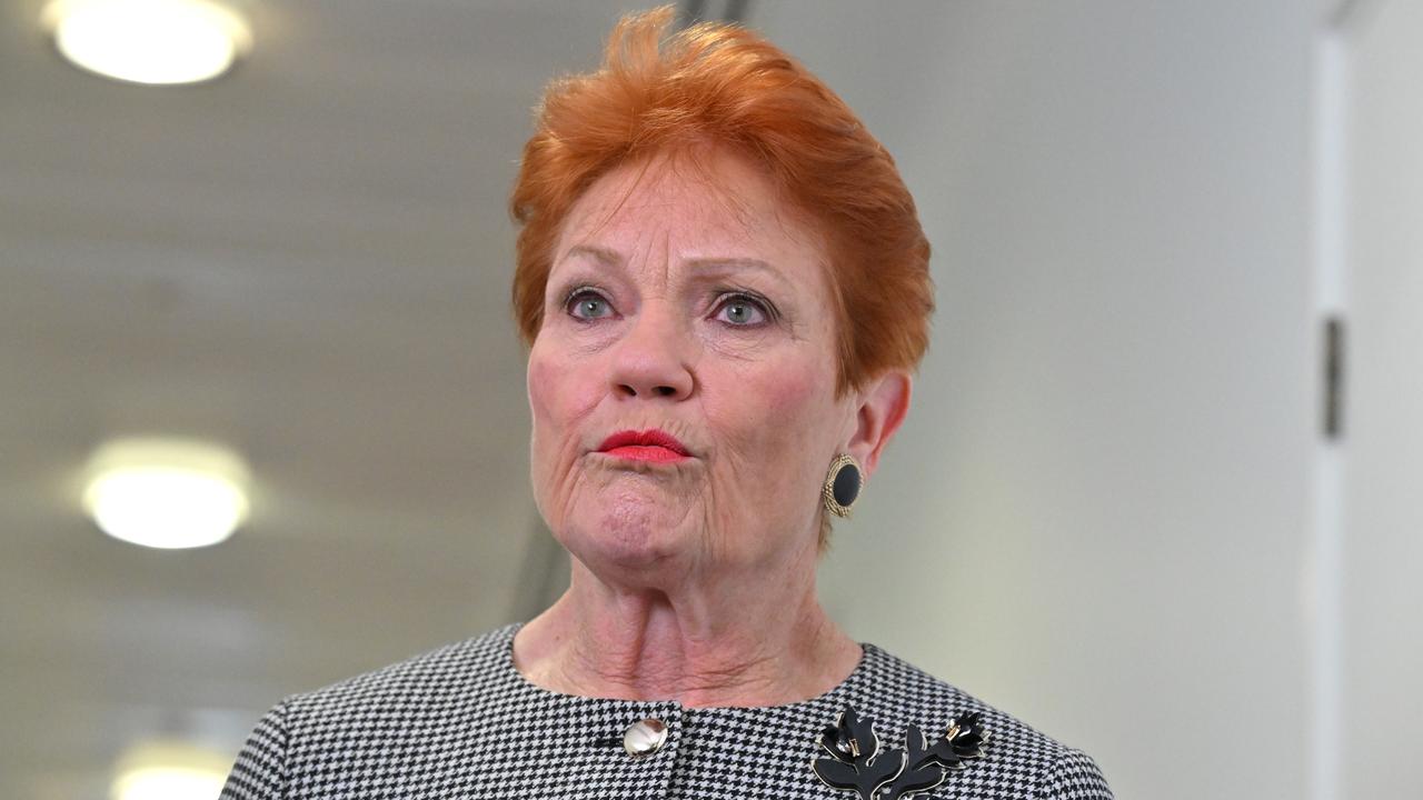 One Nation Leader Pauline Hanson (file image)