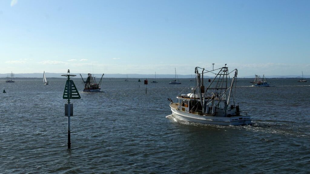 Local fishing regulations are stringent, but Australia turns a ‘blind eye’ to imports, a study says.
