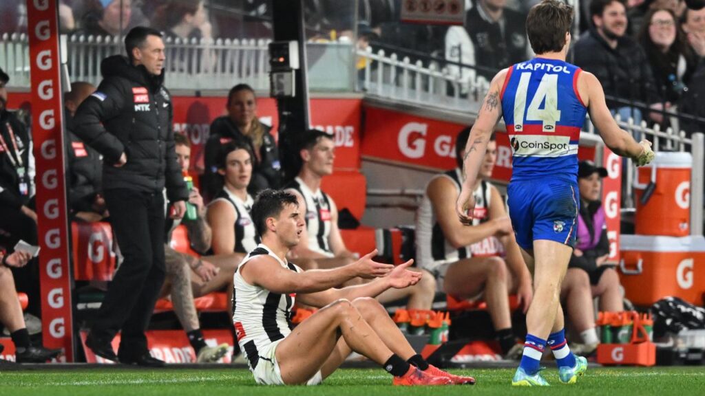 Nick Daicos was down after the wildcard final defeat but no-one could have done more for the Pies.
