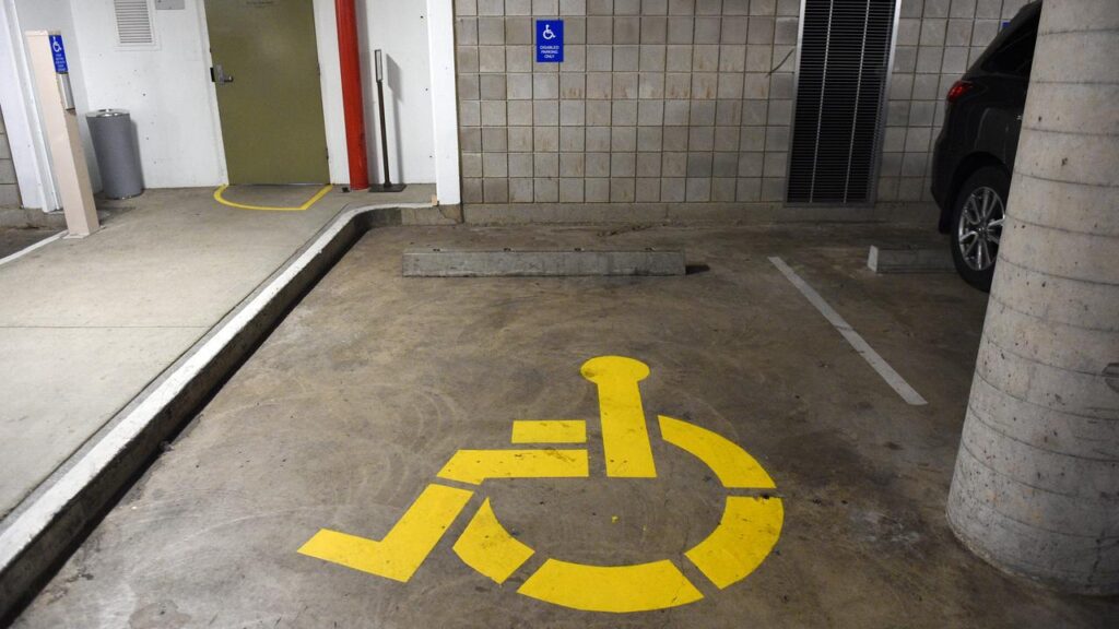 A disability advocate is calling for the sector to have an inspector general.
