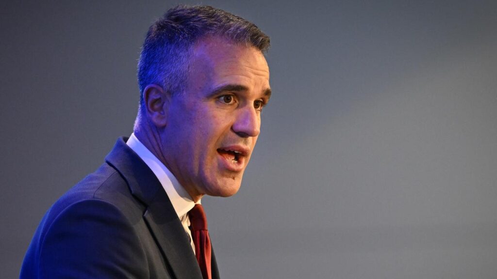 Premier Peter Malinauskas says SA’s government will lead AI opportunities with “ambition and care”.
