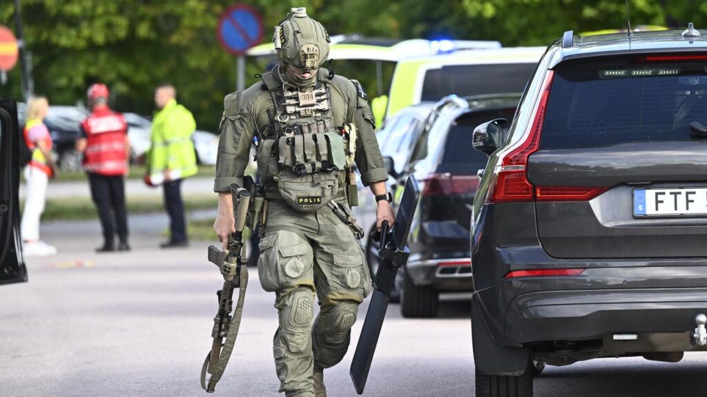 Swedish police say the suspected perpetrator of a sword attack was shot and is in custody.
