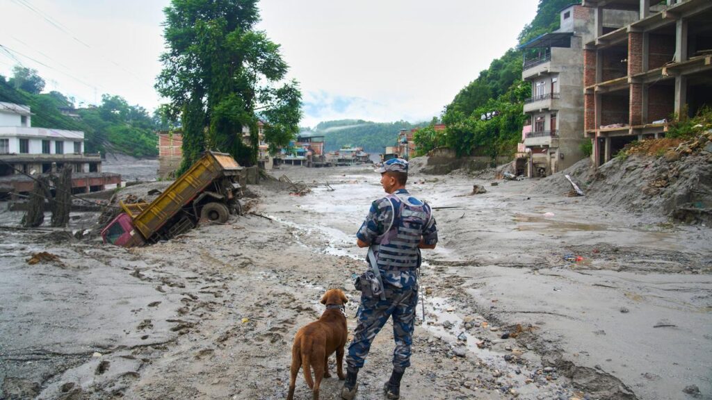 Rescue teams are searching for hundreds of missing people along the Nepal-China border.
