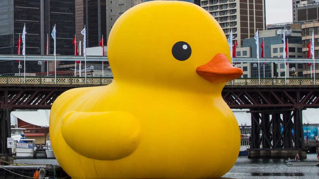 A bikie is in trouble after shooting toy ducks in a sideshow alley game at a regional festival.
