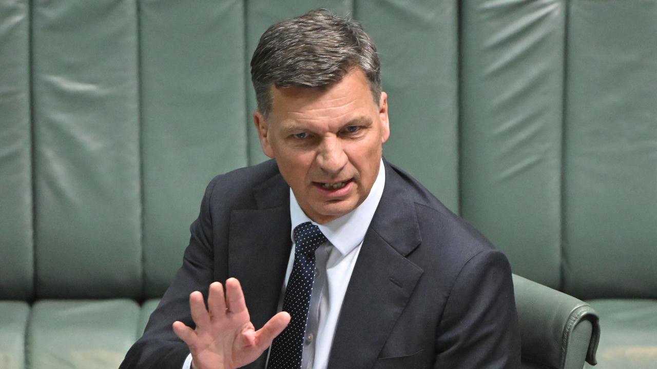 Leader of the Opposition Angus Taylor during Question Time
