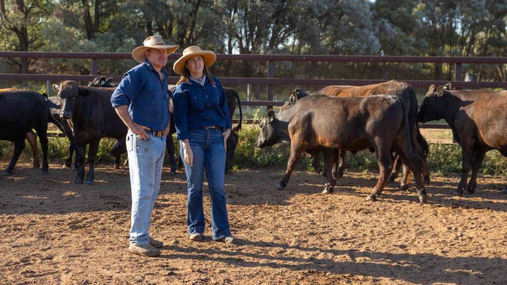 Cattle farmers Owen and Brigid Price lament rustling is sadly not a crime confined to a bygone era.
