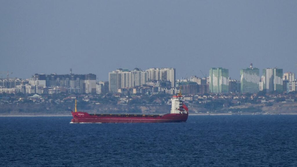 Russia says it has struck military warehouses in the Black Sea port of Odesa.
