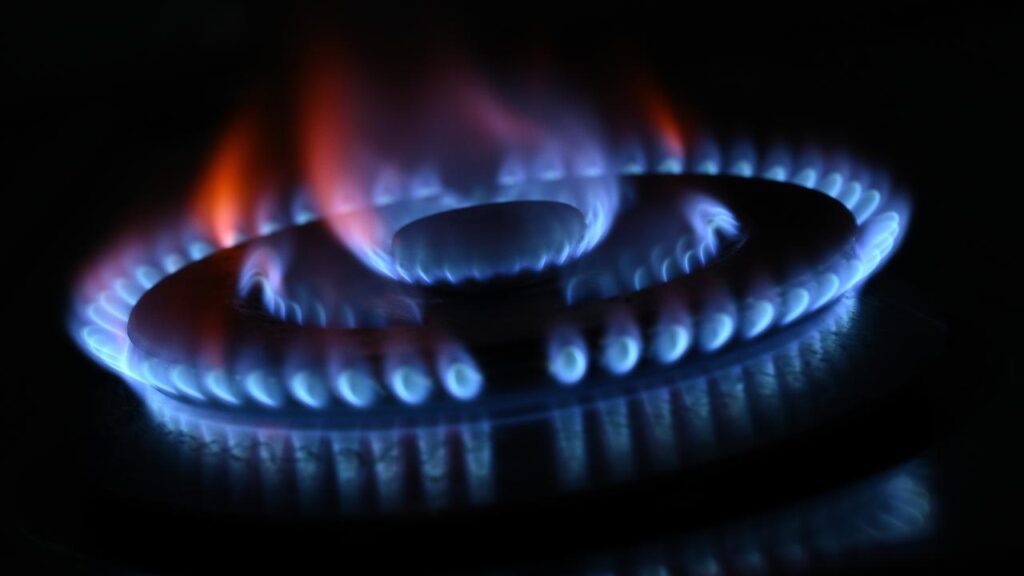 Low-income households and renters are the groups most likely to be burned by energy reforms.
