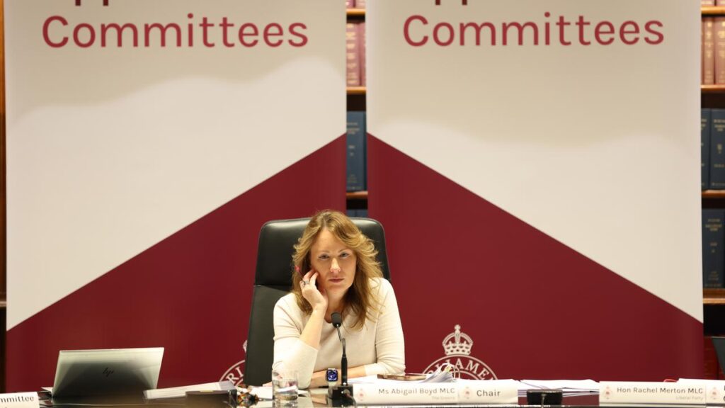 Witnesses have detailed claims against a religious school to a committee chaired by MP Abigail Boyd.
