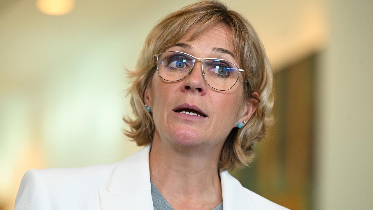 Independent member for Warringah Zali Steggall