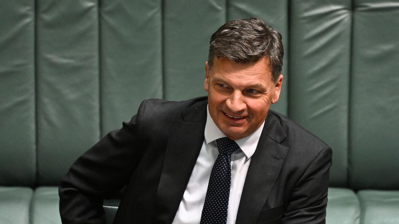 Angus Taylor 