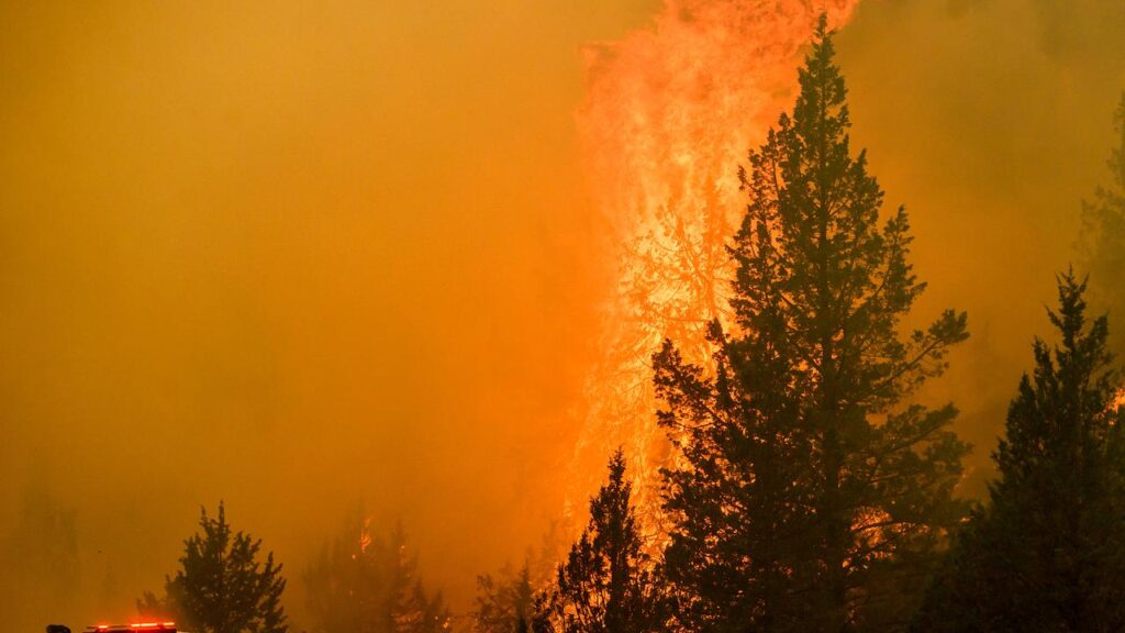 Wildfires are burning in multiple US states, with homes destroyed and air quality warnings issued.
