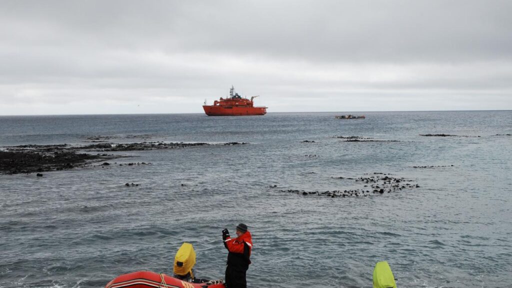 Staff will be withdrawn from the Australian territory of Macquarie Island in the Southern Ocean
