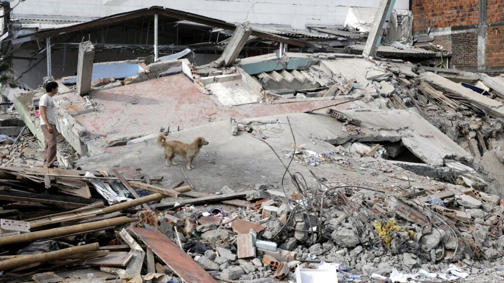 Rescue efforts are continuing in the Colombian city of Pereira following a devastating earthquake.
