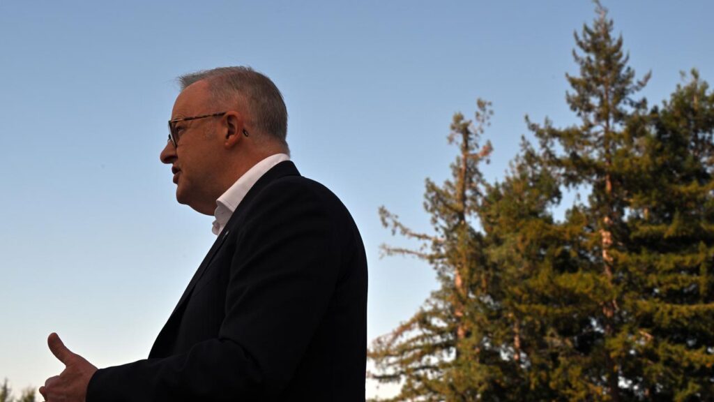 Prime Minister Anthony Albanese says a discussion is needed about a global framework for AI.
