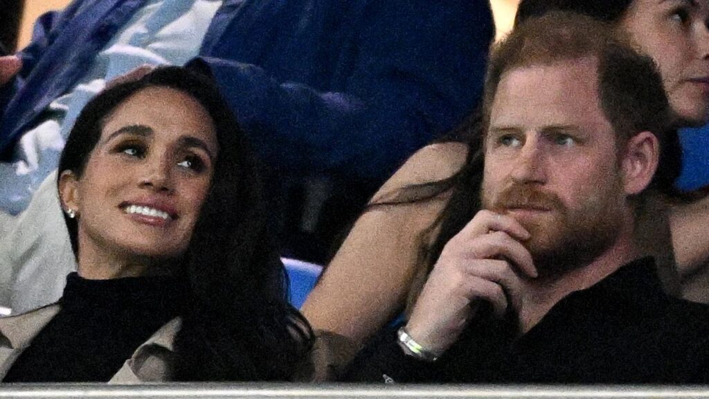 Charles Spencer has made the case for Harry and Meghan to get official protection.
