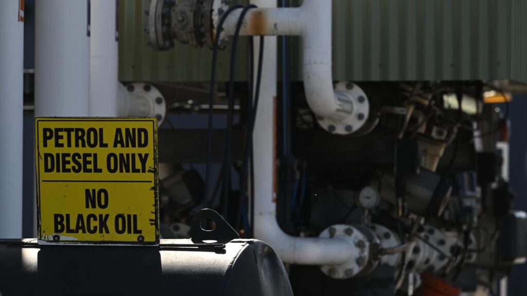 As oil prices rise again, economists predict interest rate increases are growing more likely.
