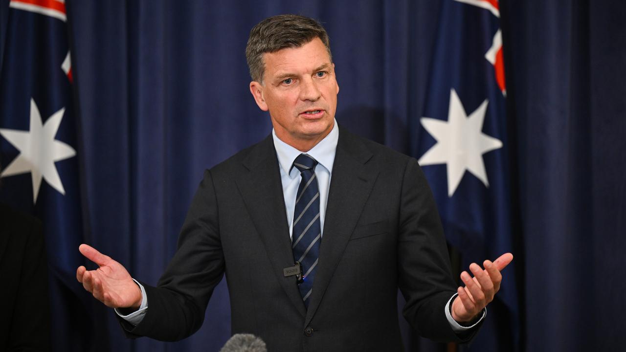 Opposition Leader Angus Taylor (file image)