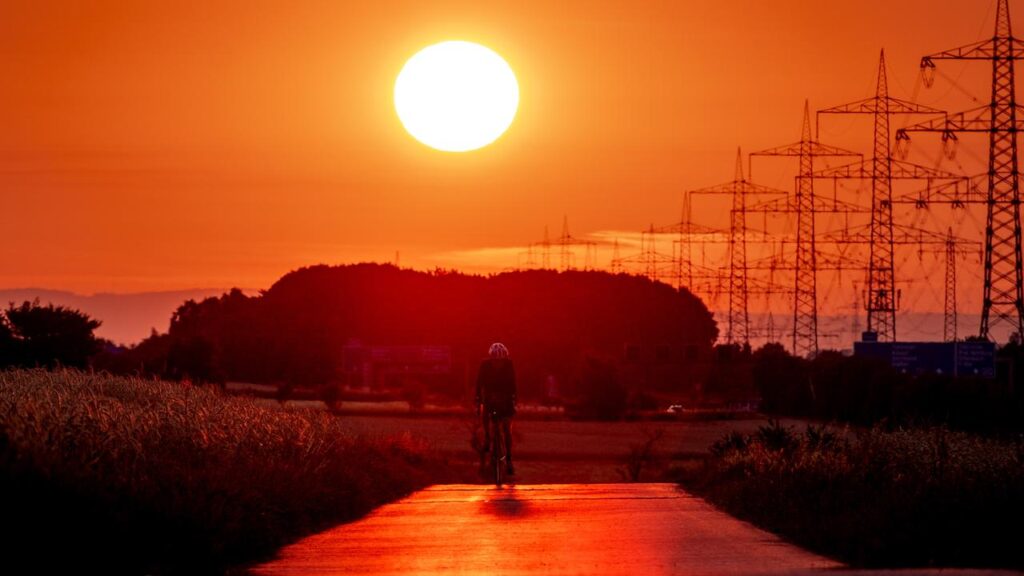 Global average temperatures are often particularly high in the year following an El Nino.

