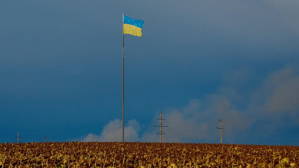 Ukraine says it is ready to halt attacks on Russia if ‌it spares energy ‌and food supply sites.
