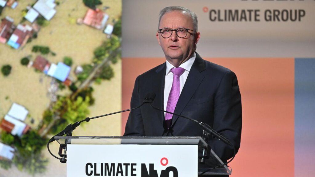 Large-scale natural disasters will become even more common, Prime Minister Anthony Albanese says.
