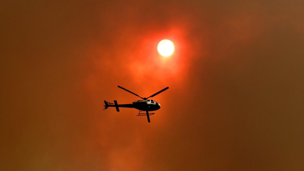 A spring heatwave sent temperatures soaring and triggered bushfires across the east coast.

