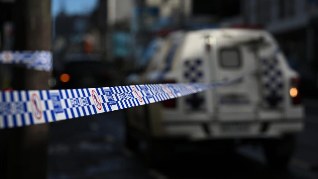 Three men are in hospital with stab wounds after a brawl allegedly broke out at a suburban market.
