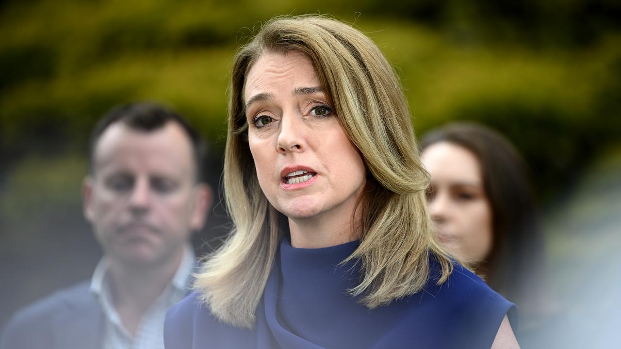 NSW Opposition Leader Kellie Sloane