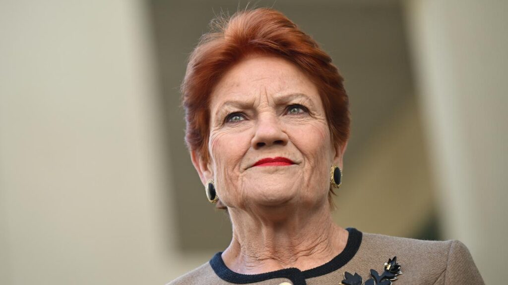 Pauline Hanson wants workers to be able to divert their superannuation to pay for living costs.
