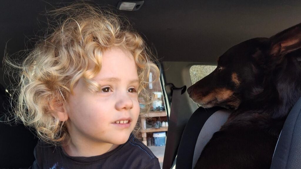 A massive reward has been placed for information on missing toddler Gus Lamont.
