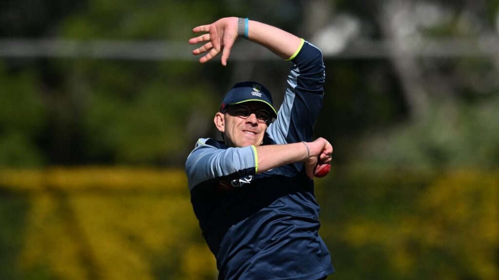 Australian Test spinner Todd Murphy will roll his arm over for the Melbourne Stars in the BBL.
