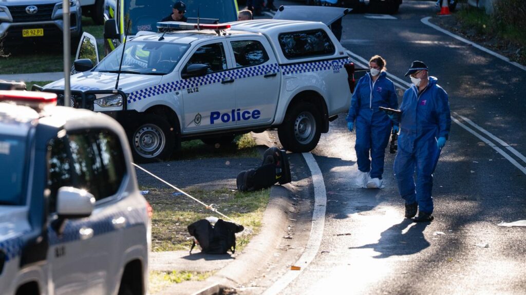 A child has died and two other are critical in hospital after a stabbing west of Sydney.
