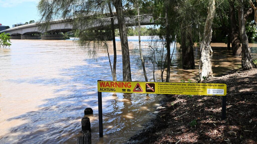 Critics say a regional river is not safe for Olympic rowing due to tides, winds, currents and crocs.
