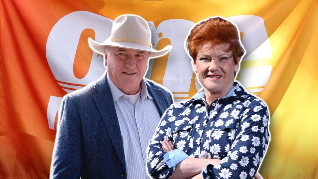 One Nation’s Pauline Hanson and her MP Barnaby Joyce have faced heat due to her comments.
